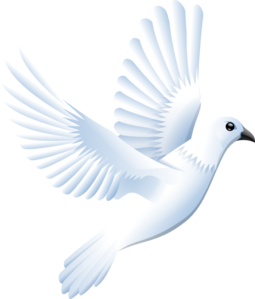 255x299 Collection Of Free Dove Vector Border. Download On Ubisafe