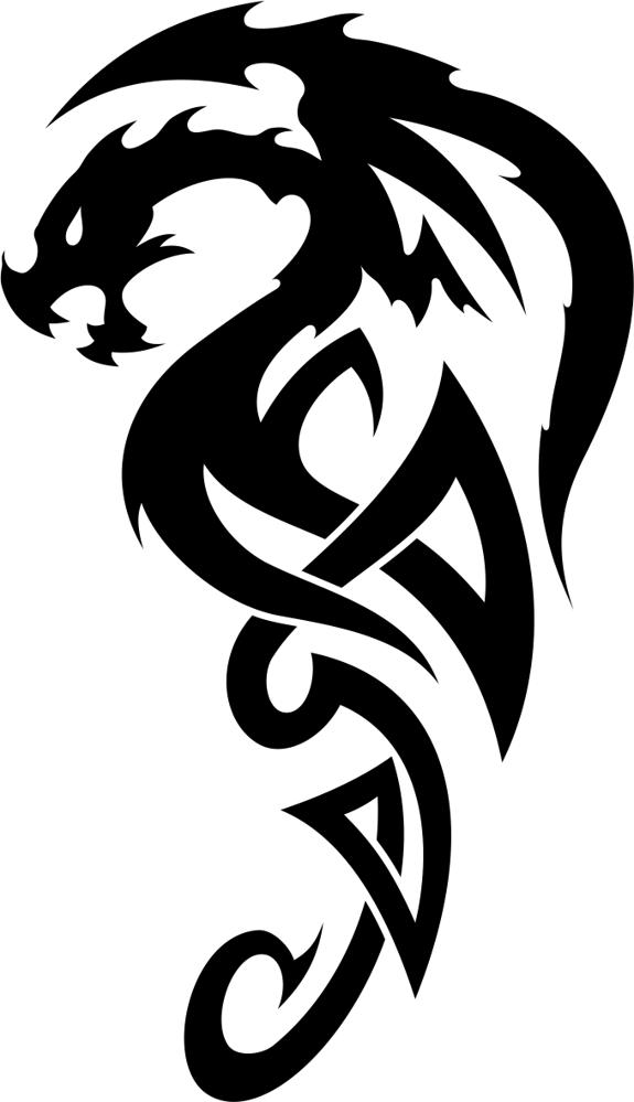 575x999 Celtic Dragon Tattoo Vector Free Vector Download