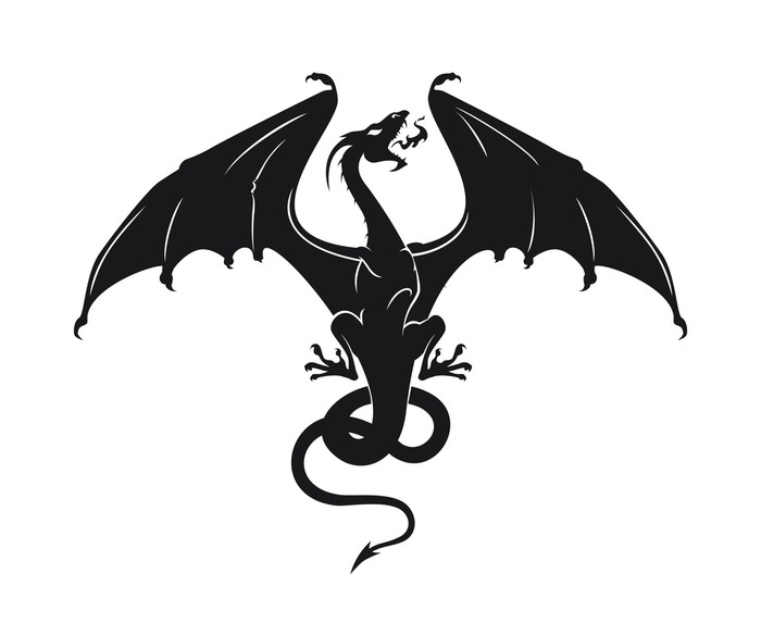 700x573 Dragon Vector Tattoo Wall Mural We Live To Change