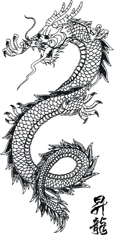 390x800 Free Clipart Dragon Vector Art 1 Samuraiagency