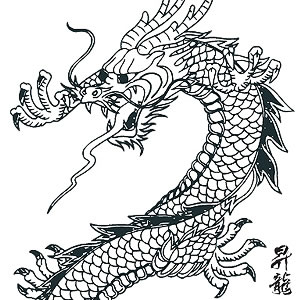 300x300 Japanese Dragon Vector Art