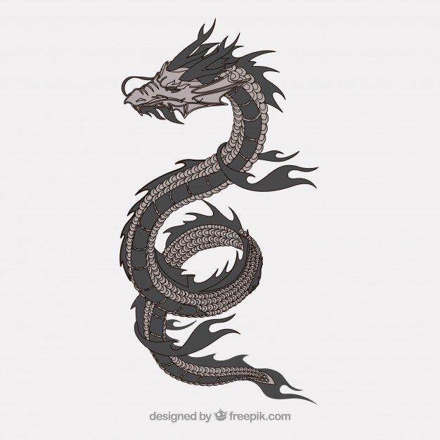 626x626 Dragon Vector Vectors, Photos And Psd Files Free Download