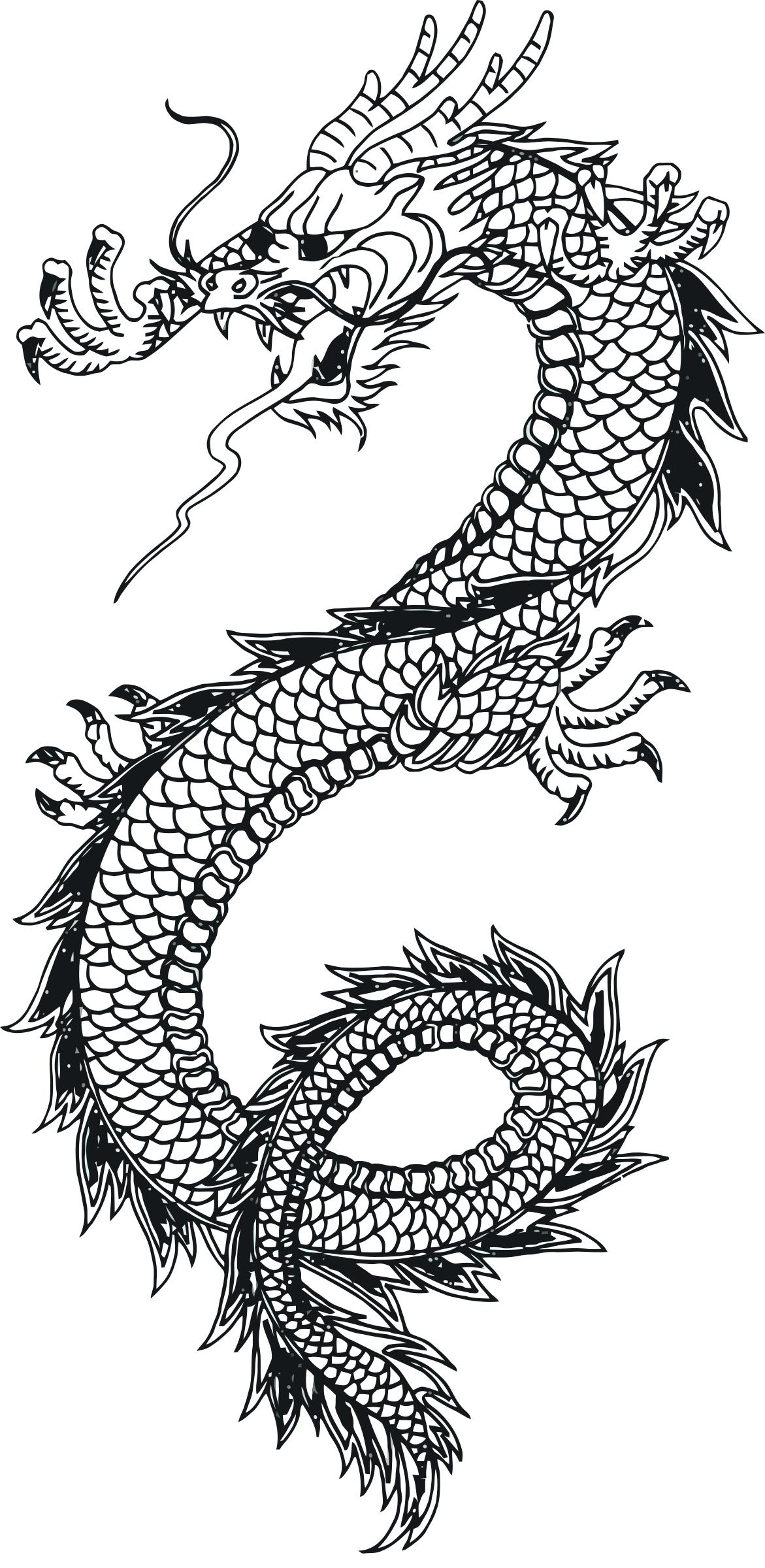 1171x2400 Dragon Vector Art 1 Wo Text Icons Png