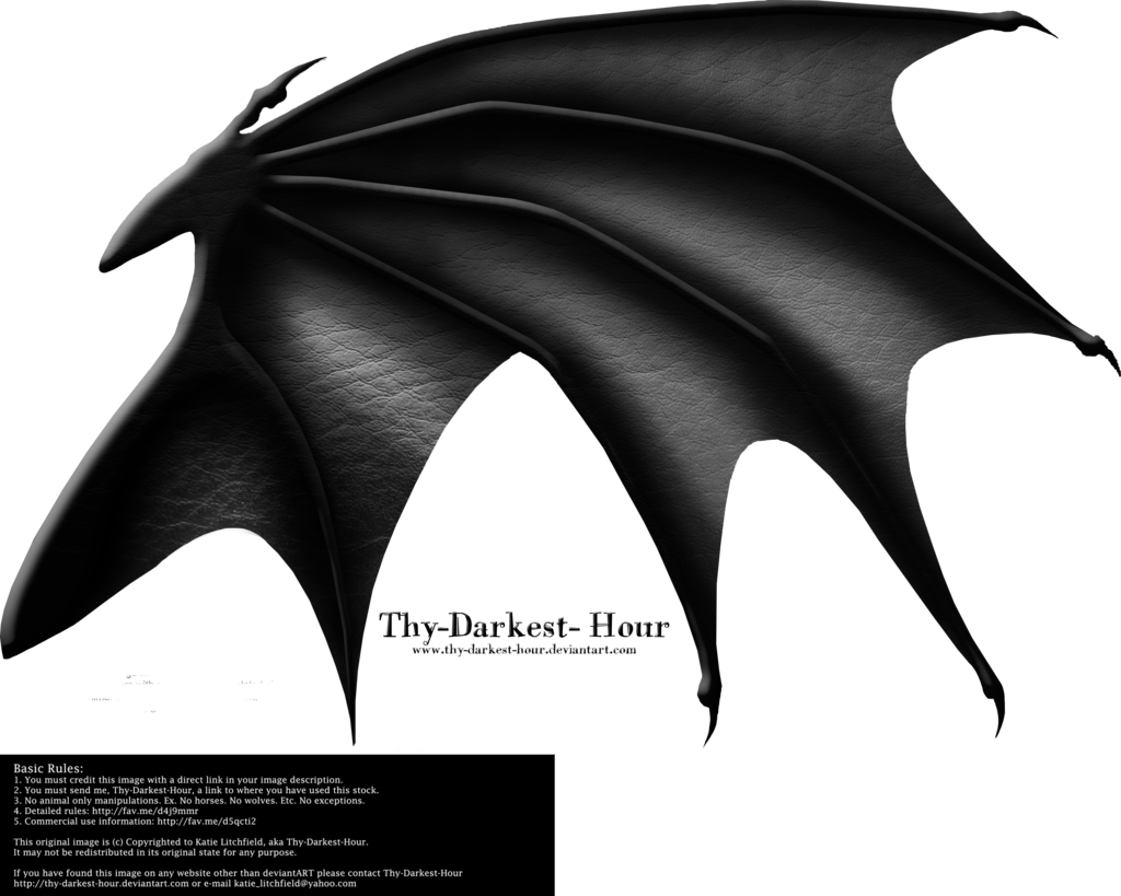 1024x819 Vector Wings