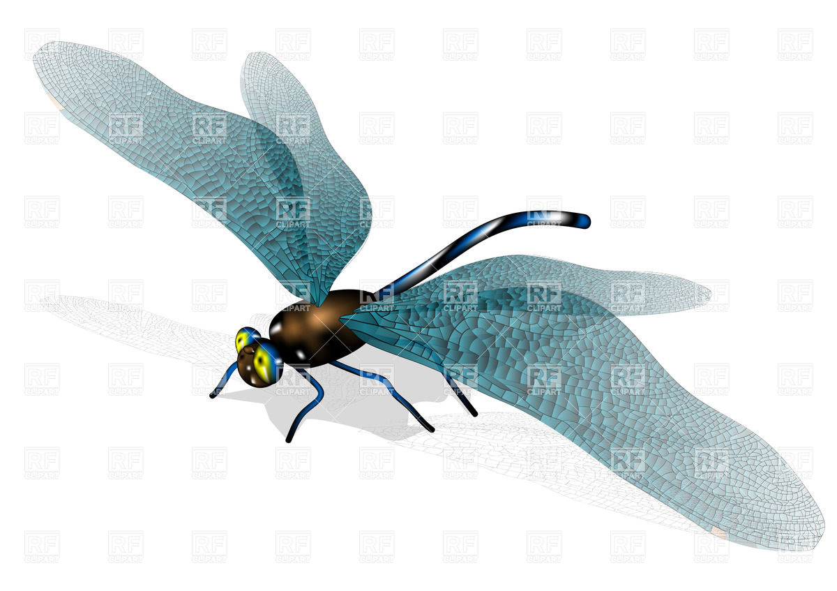 1200x847 Dragonfly Vector Image Vector Artwork Of Plants And Animals
