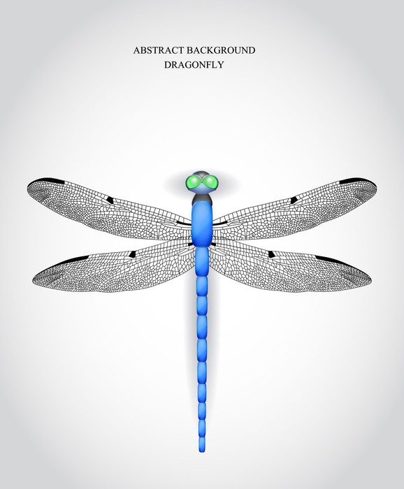 578x700 Dragonfly. Vector Illustration Wall Mural We Live To
