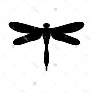 300x300 Stock Photo Dragonfly Insect Black Silhouette Animal Vector