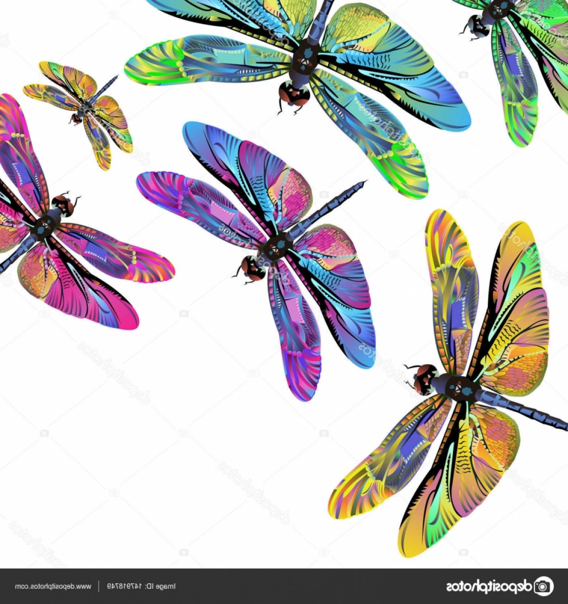 Dragonfly Vector Art at Free for