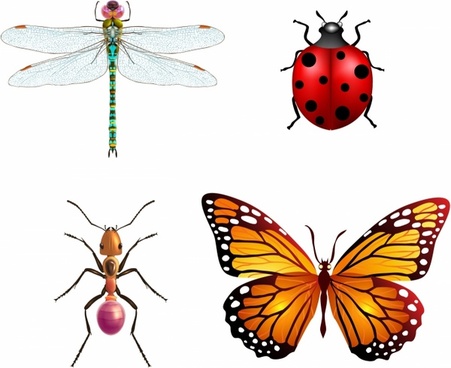 451x368 Dragonfly Free Vector Download (121 Free Vector) For Commercial