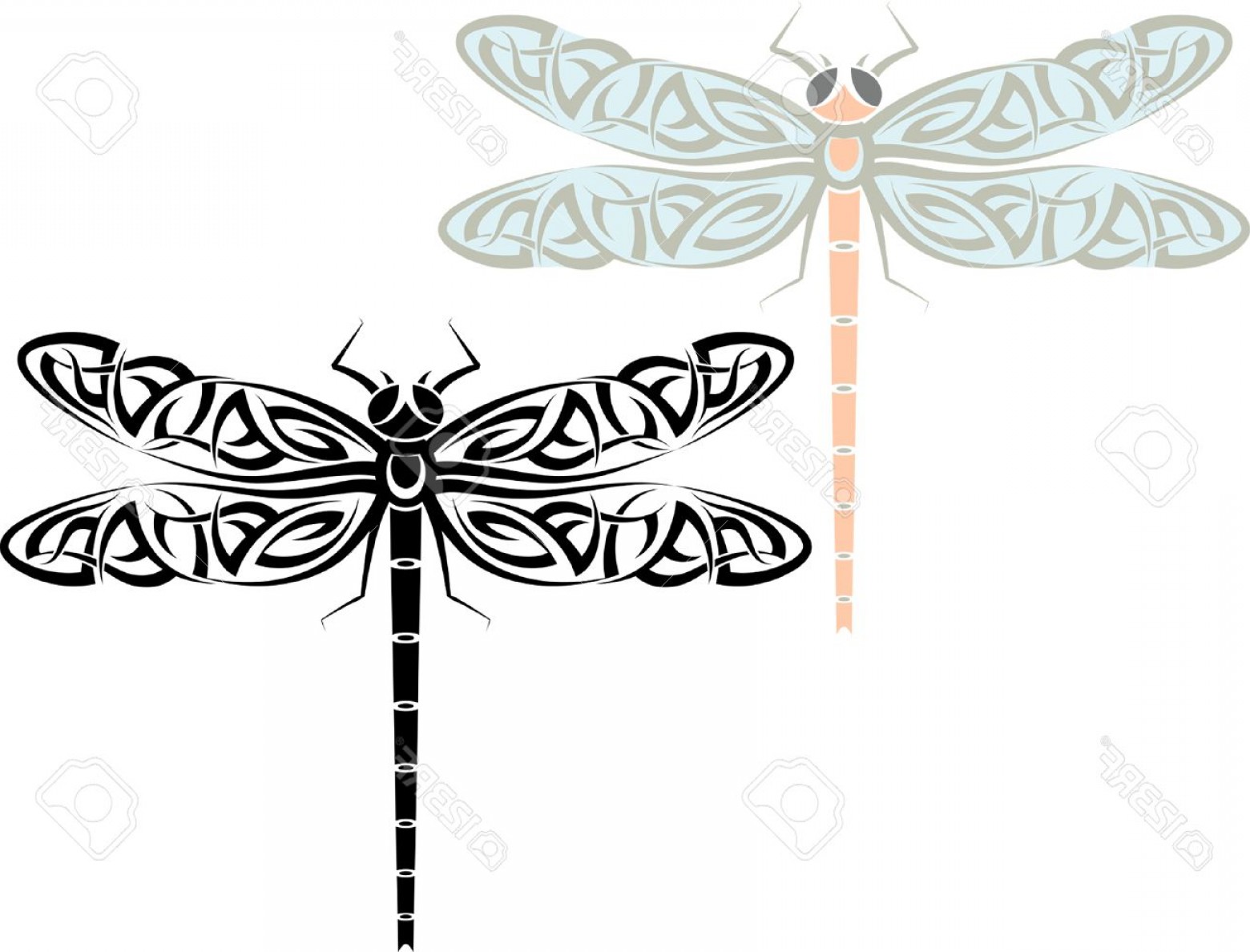 1560x1188 Photostock Vector Tattoo Dragonfly Design Vector Art Shopatcloth