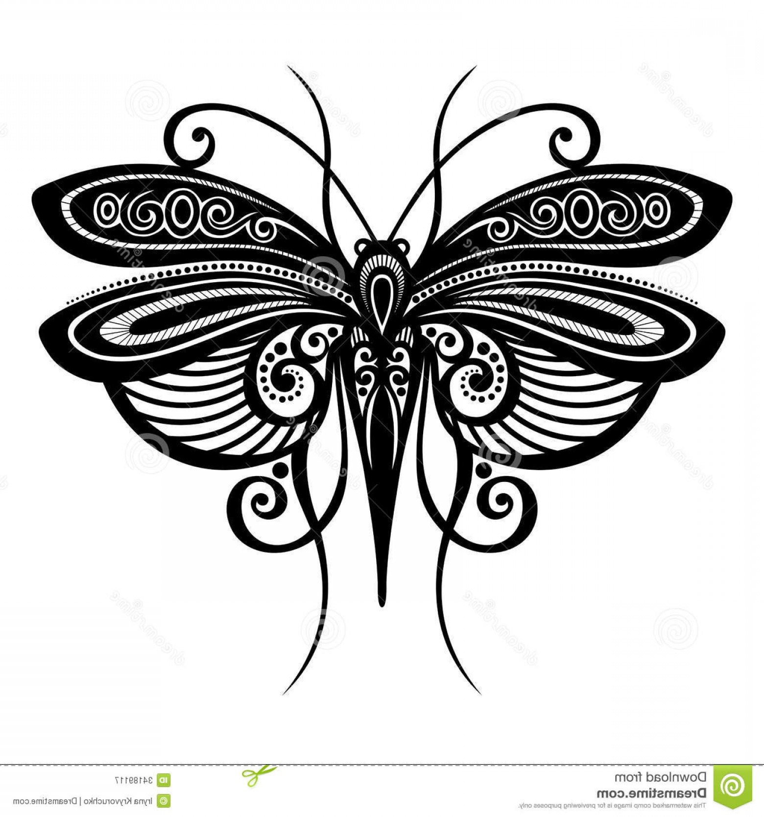 1560x1668 Royalty Free Stock Photography Insect Dragonfly Vector Beautiful