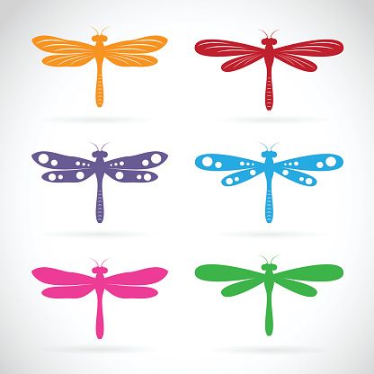 416x416 Vector Group Of Colorful Dragonfly Vector Art Illustration