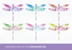 285x200 Dragonfly Free Vector Graphic Art Free Download (Found 78 Files