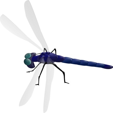 367x368 Dragonfly Svg Free Vector Download (85,068 Free Vector) For
