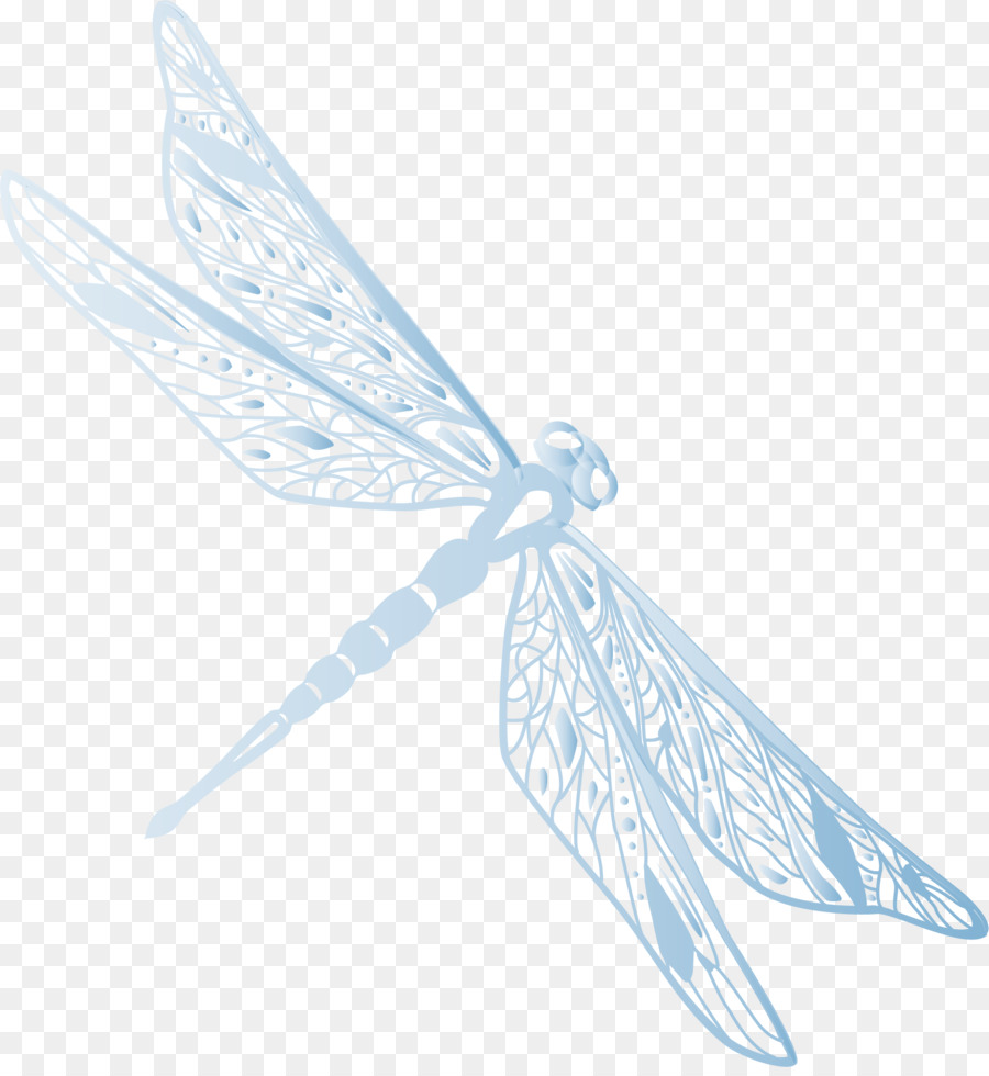 900x980 Euclidean Vector Dragonfly