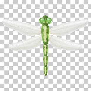 310x310 423 Dragonfly Insect Vector Png Cliparts For Free Download Uihere