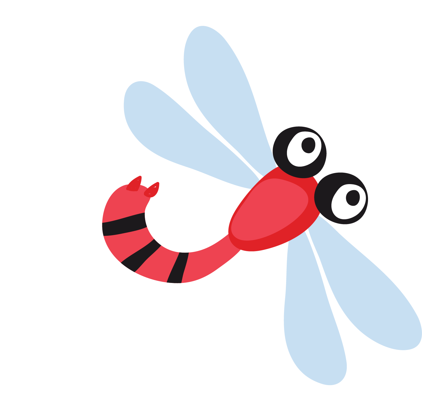 1407x1375 Strana Enotia Insect Illustration