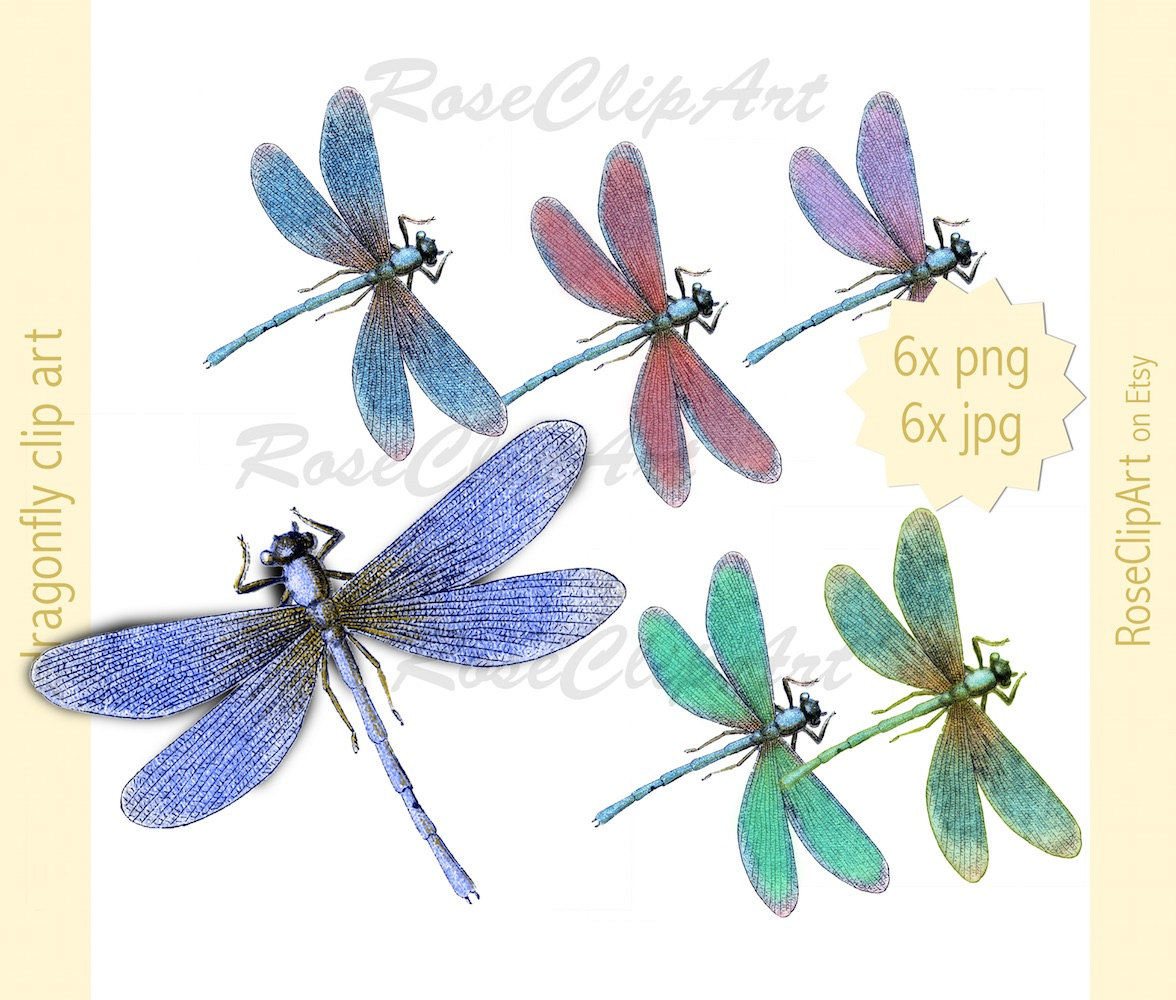 1176x1000 Vintage Clipart Dragonfly