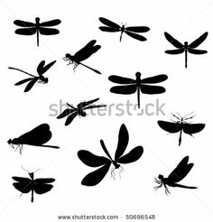 236x246 71 Best Silhouettes Insect Silhouettes Images In 2018