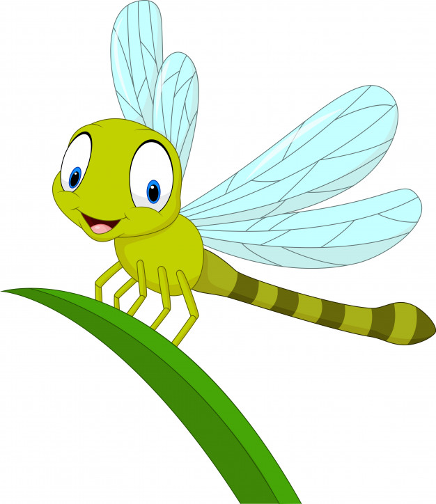 626x724 Cartoon Funny Dragonfly Vector Premium Download