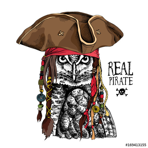 500x500 Eagle Owl With Dreadlocks And Accessories In A Pirate Hat. Vector