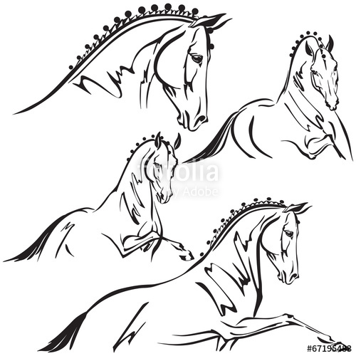500x500 Dressage Horses For Trailer Design Stock Image And Royalty Free