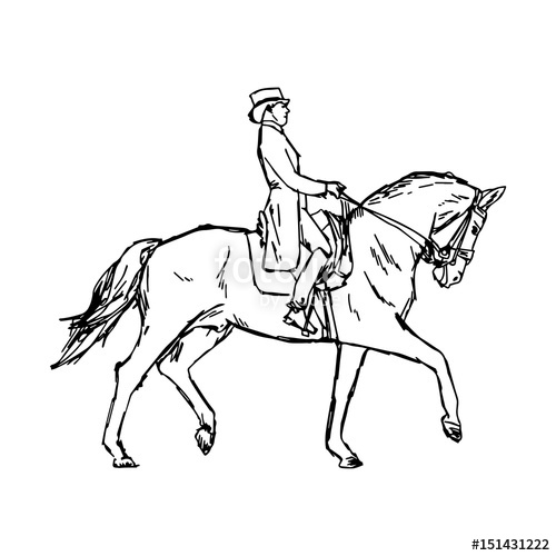 500x500 Young Rider Man On Horse