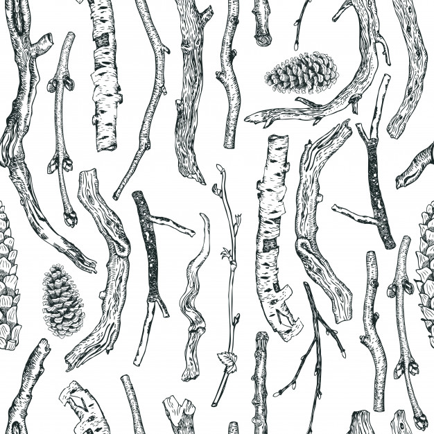 626x626 Driftwood Vectors, Photos And Psd Files Free Download