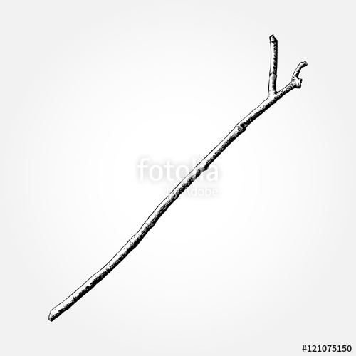 500x500 Driftwood Forest Ground Floor Hand Drawn Ink Rustic Design Element