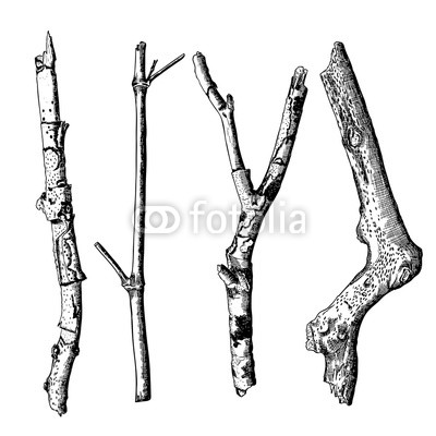 400x400 Hand Drawn Wood Twig Set, Ink Rustic Design Elements Collection