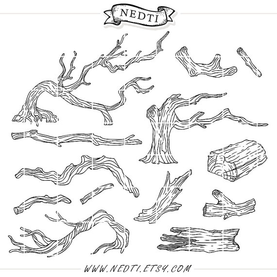570x570 Tree Branch Clip Art