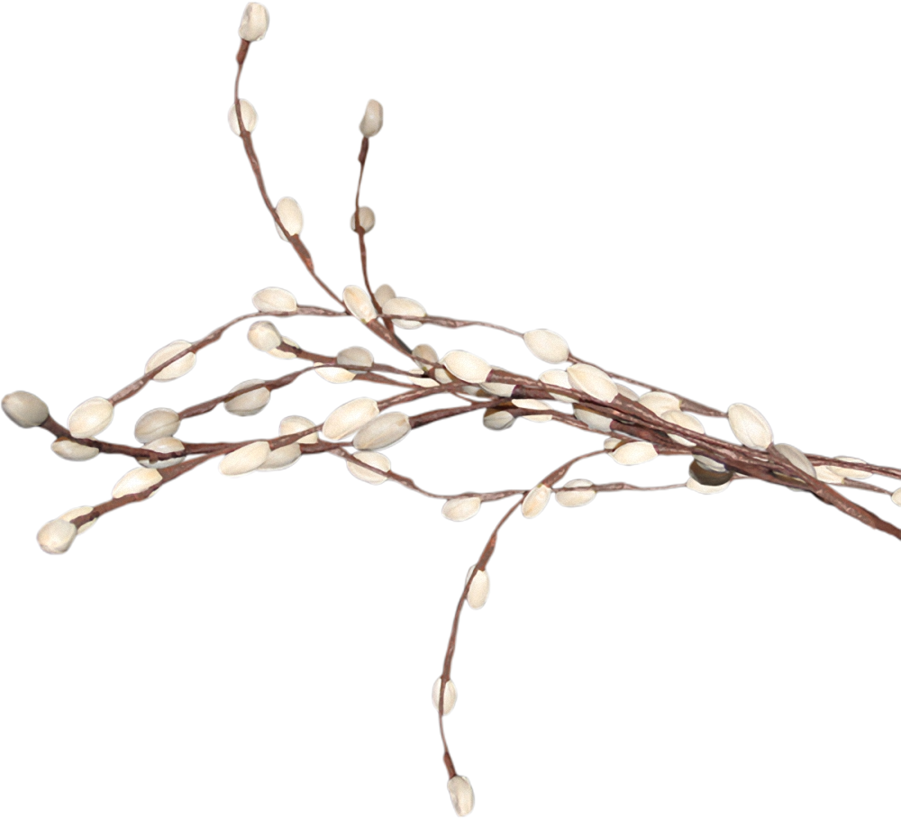 1000x909 15 Driftwood Vector Watercolor For Free Download On Mbtskoudsalg