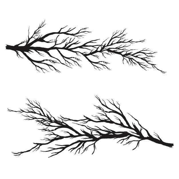 626x626 Branch Vectors, Photos And Psd Files Free Download