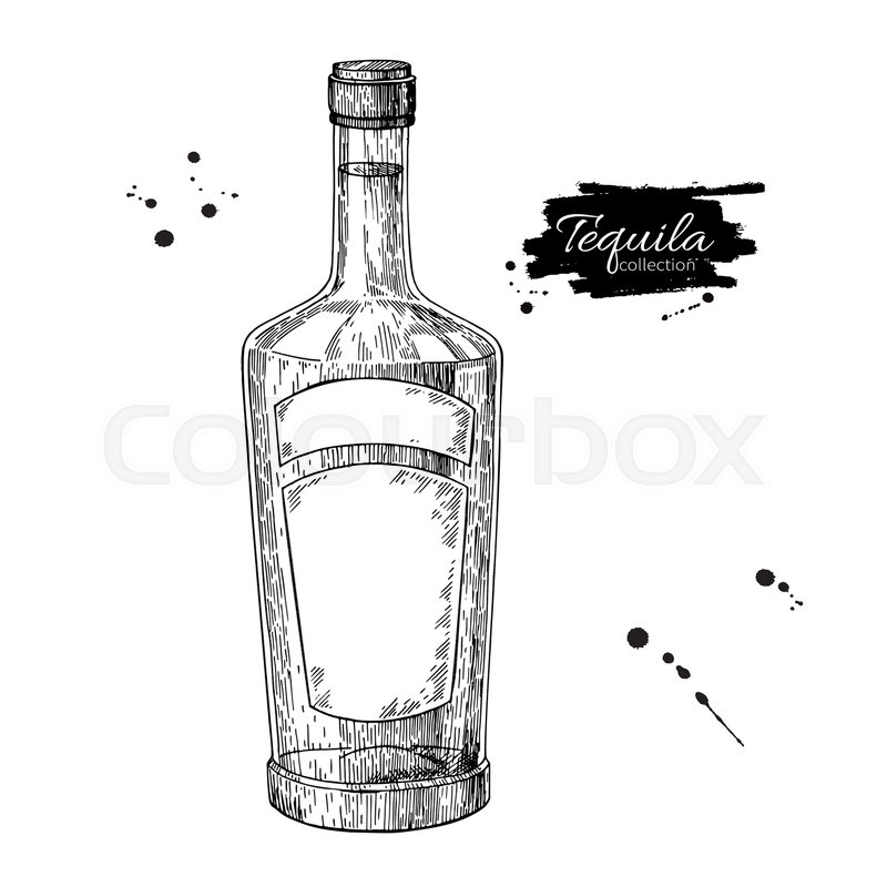 800x800 Tequila Bottle Drawing. Vodka, Cocktail, Alcohol Drink Vector
