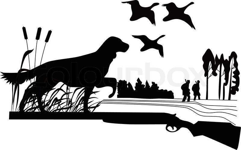 800x496 Dogs Of A Duck Hunt Nature A Vector The Gun On A White Background