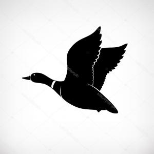 300x300 Duck Hunting Background Hunter Gm Lazttweet