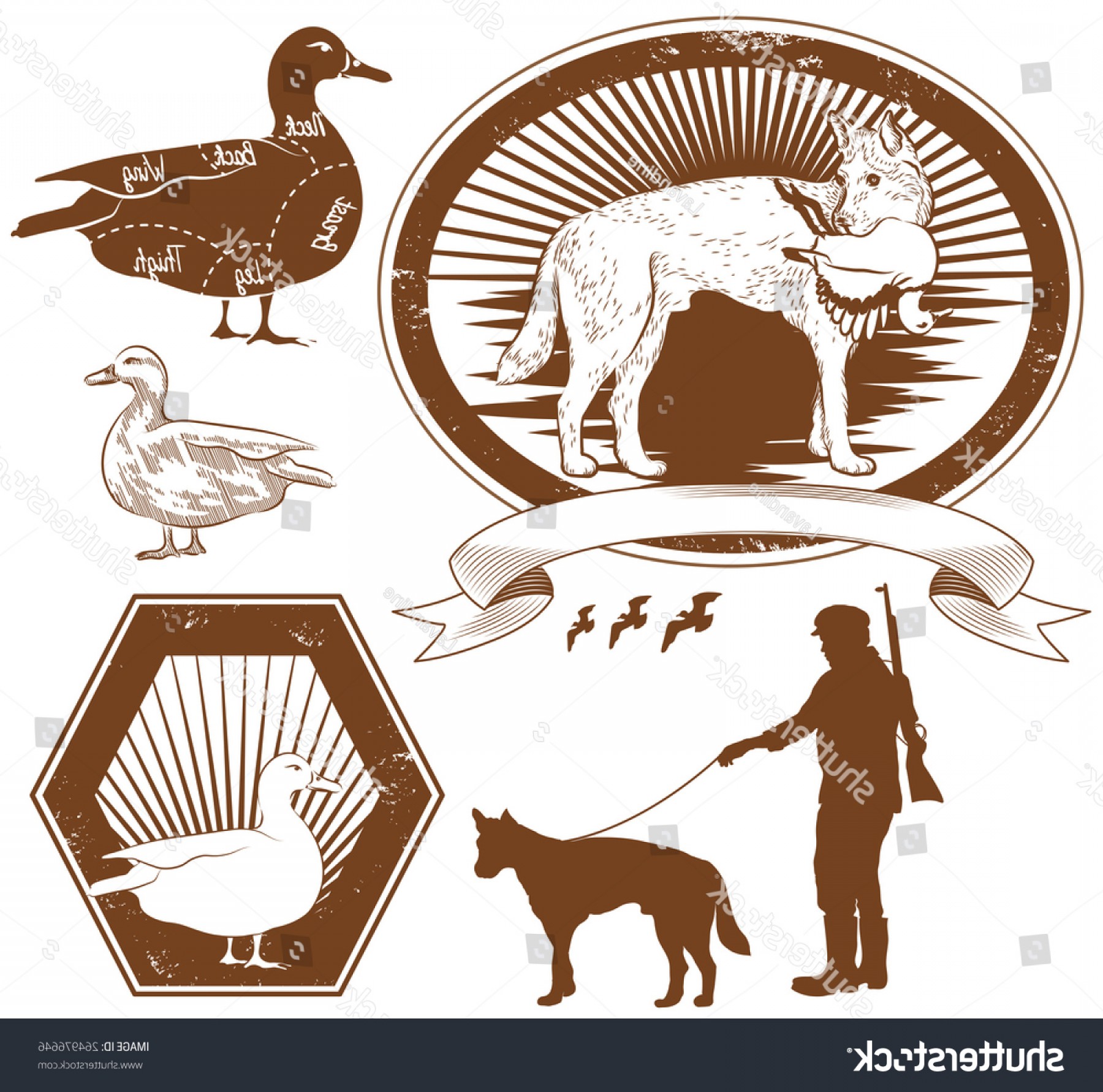 1800x1782 Set Duck Hunting Vector Illustration Lazttweet