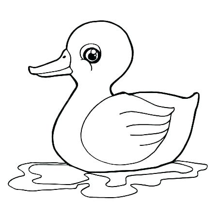 450x450 Coloring Pictures Of Ducks Picture Duck Hunting Pages Rubber Book