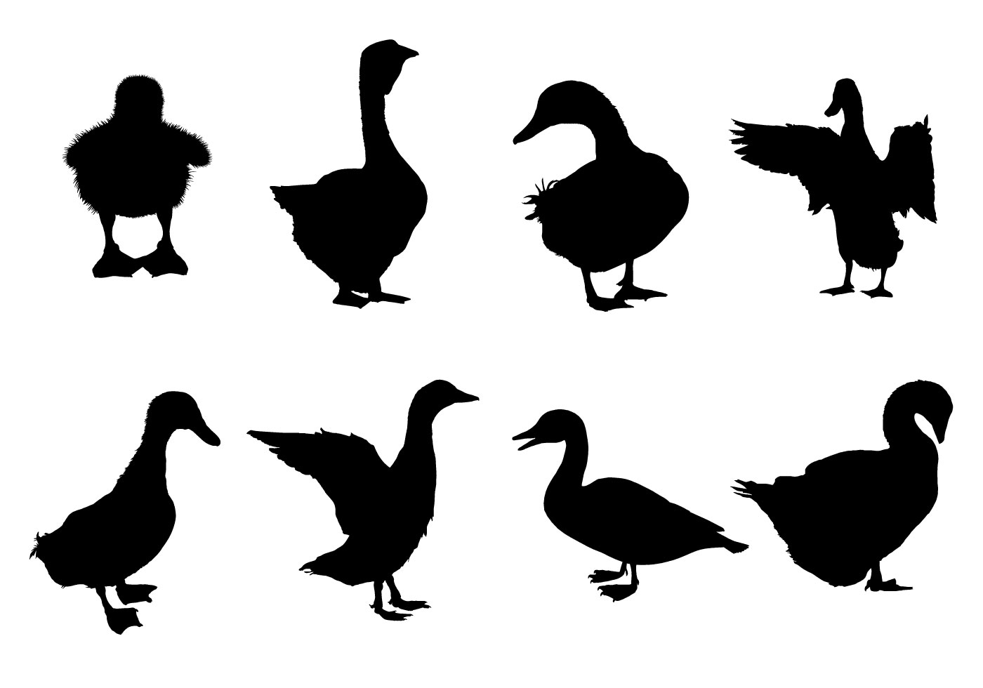 1400x980 Duck Free Vector Art