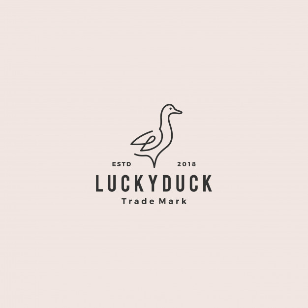 626x626 Duck Logo Vector Icon Line Outline Monoline Illustration Vector