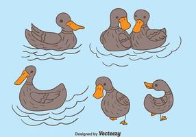 286x200 Duck Free Vector Art