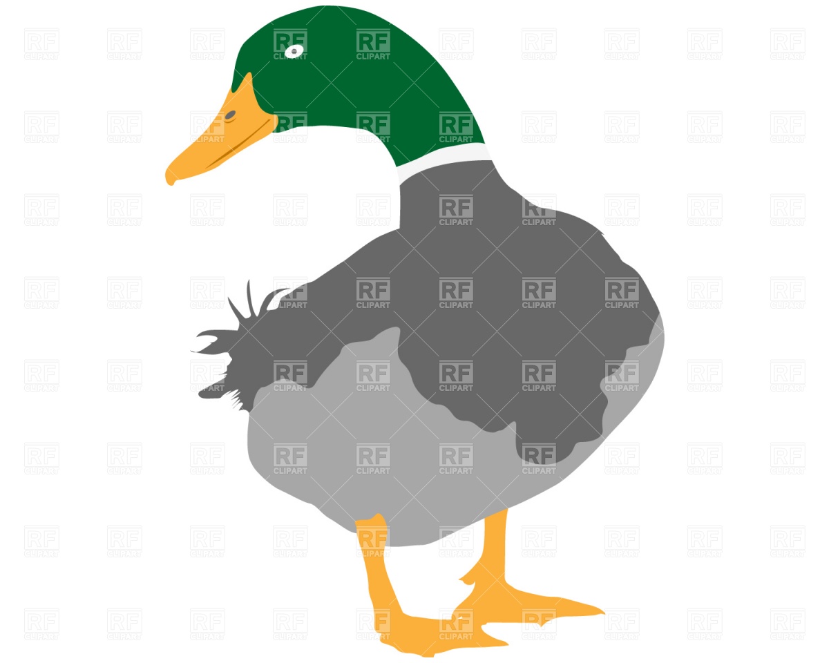 1200x960 Duck Vector Image Vector Artwork Of Plants And Animals Prague
