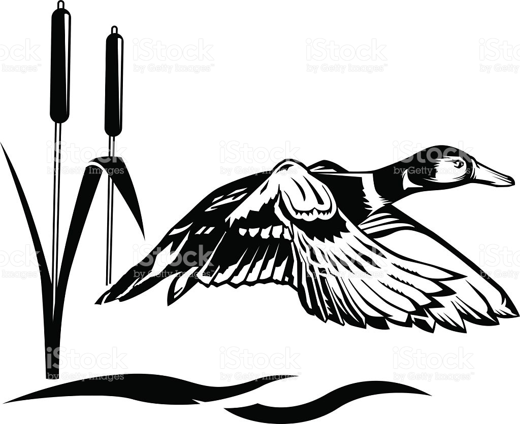 1024x836 Duck Hunting Clip Art Vectors Free Cliparts