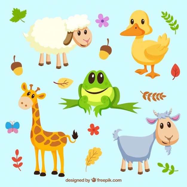 626x626 Duck Vectors, Photos And Psd Files Free Download