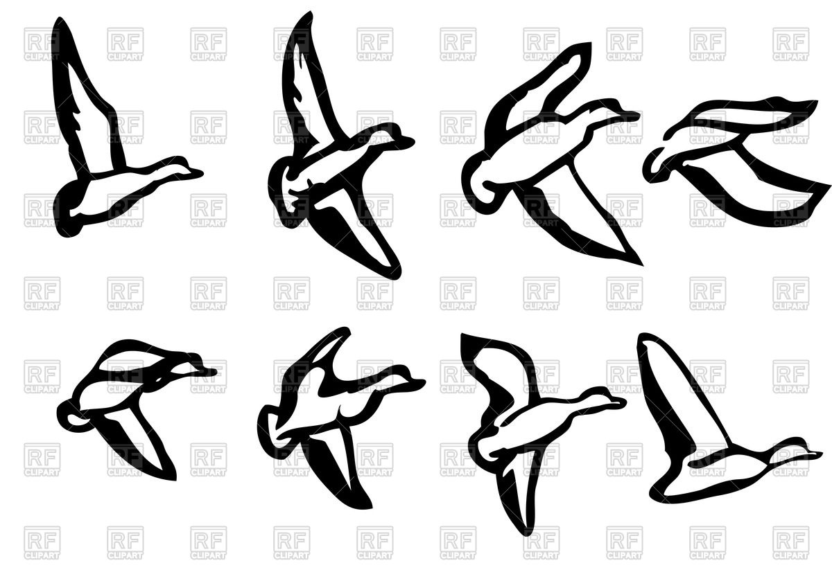 1200x839 Ducks Silhouette Vector Image Vector Artwork Of Plants And