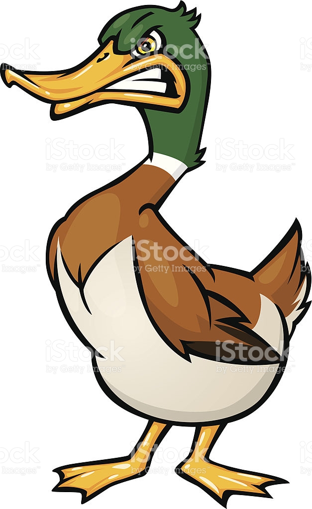 627x1024 Goose Clipart Angry ~ Frames ~ Illustrations ~ Hd Images ~ Photo