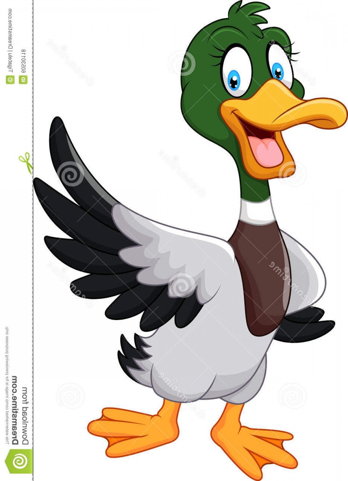1128x1560 Mallard Vector Art Geekchicpro
