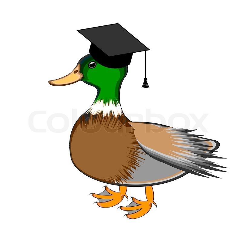800x800 A Funny Duck In A Graduation Cap. Vector Art Illustration Isolated