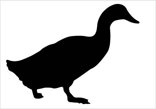 501x352 Water Theme Graphic Designs A Single Duck Silhouette Vector