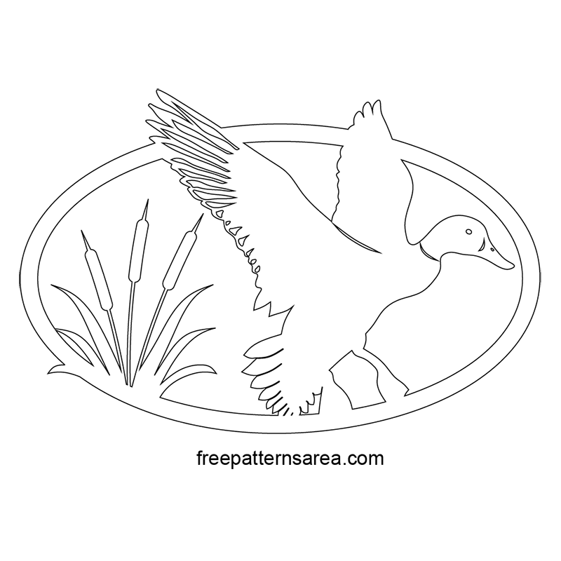 800x800 Collection Of Free Duck Vector Pdf. Download On Ubisafe